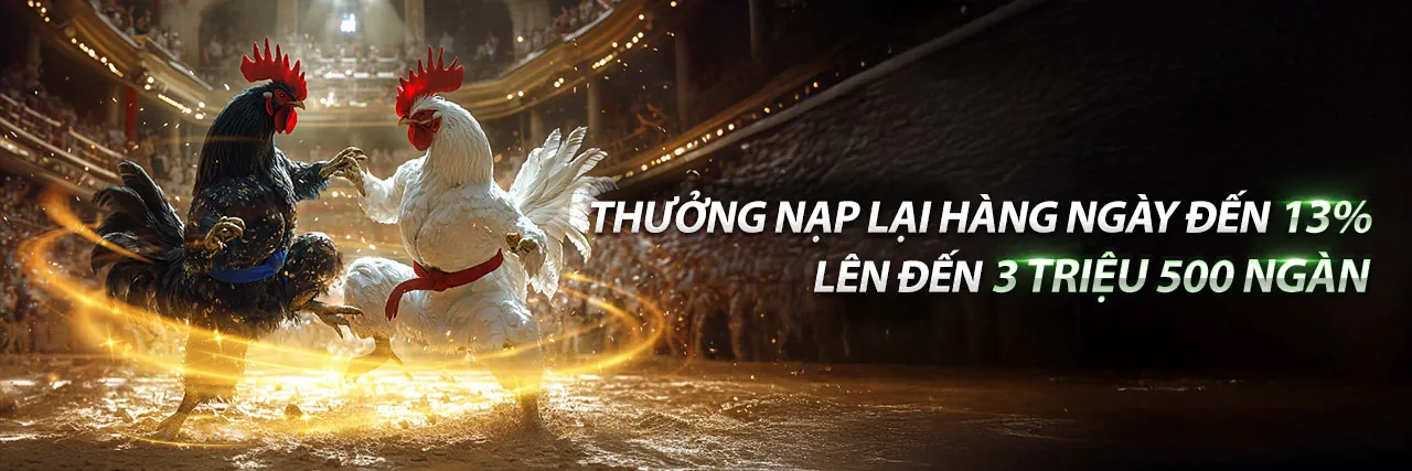 Đá gà trực tuyến 8day8 sôi động